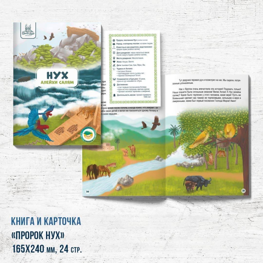 Книга Нух (г.с.)