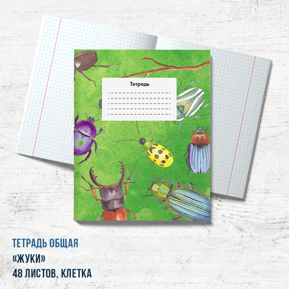 жуки