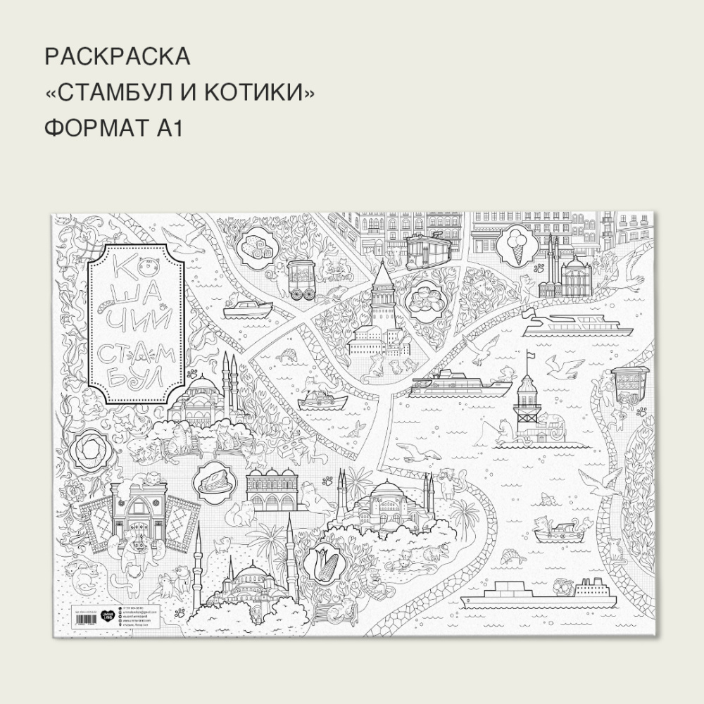 стамбул_и_котики