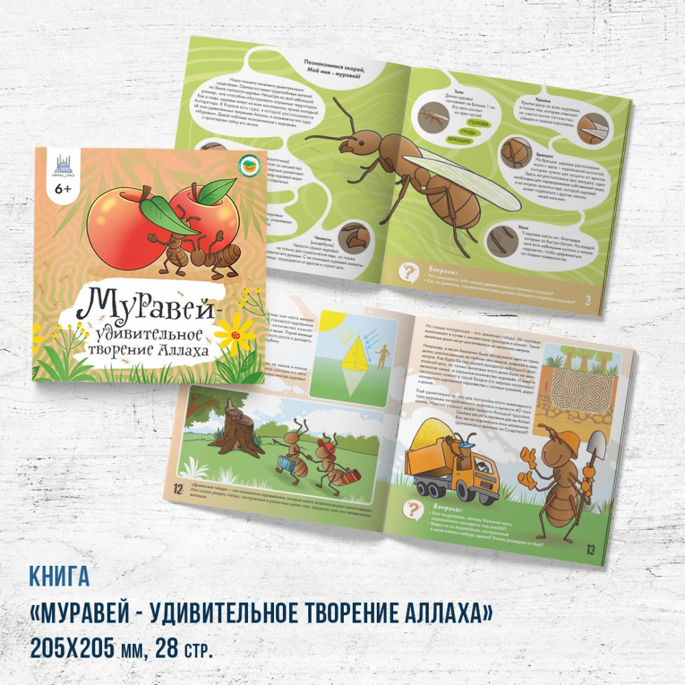 муравей